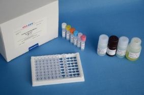 小鼠催产素(OT)ELISA试剂盒产品展示——48T/96T规格，美国R&D、RB(rapidbio)及国产可选